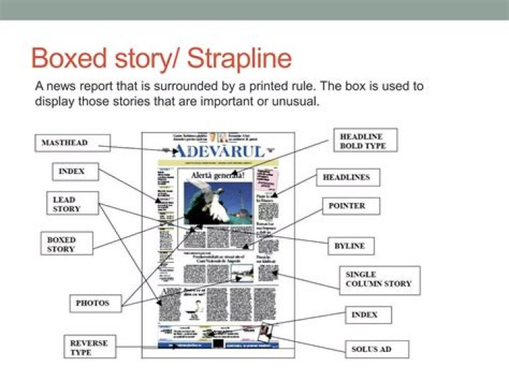 What is a story in a newspaper called?