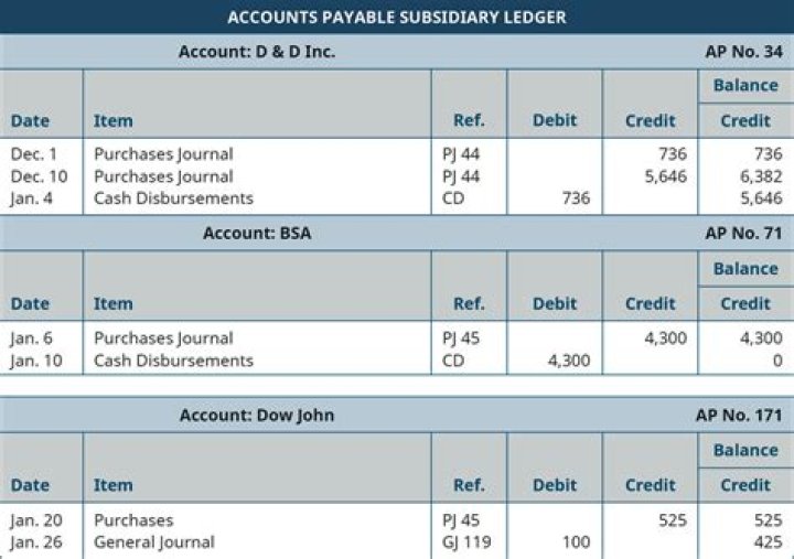 What is a subsidiary ledger in accounts payable?