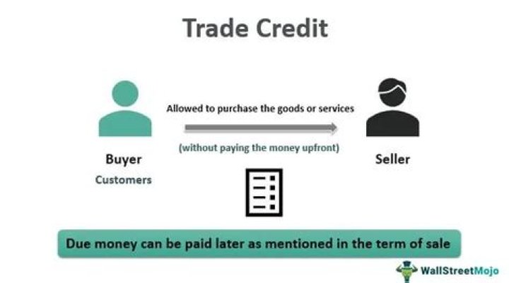 What is a trade credit example?