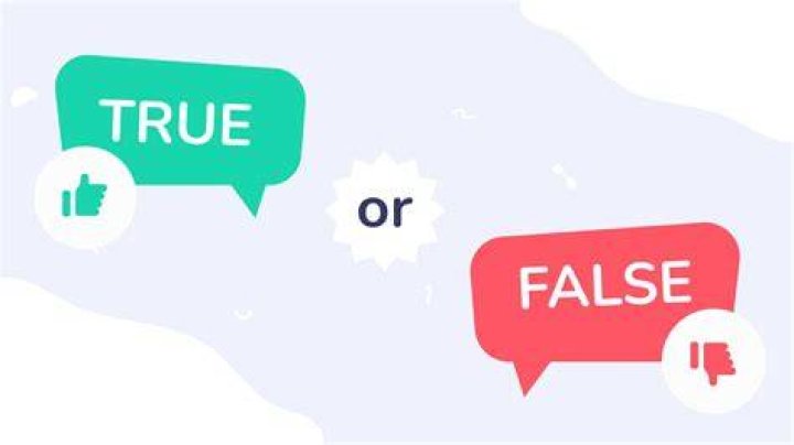 What is a true/false statement?