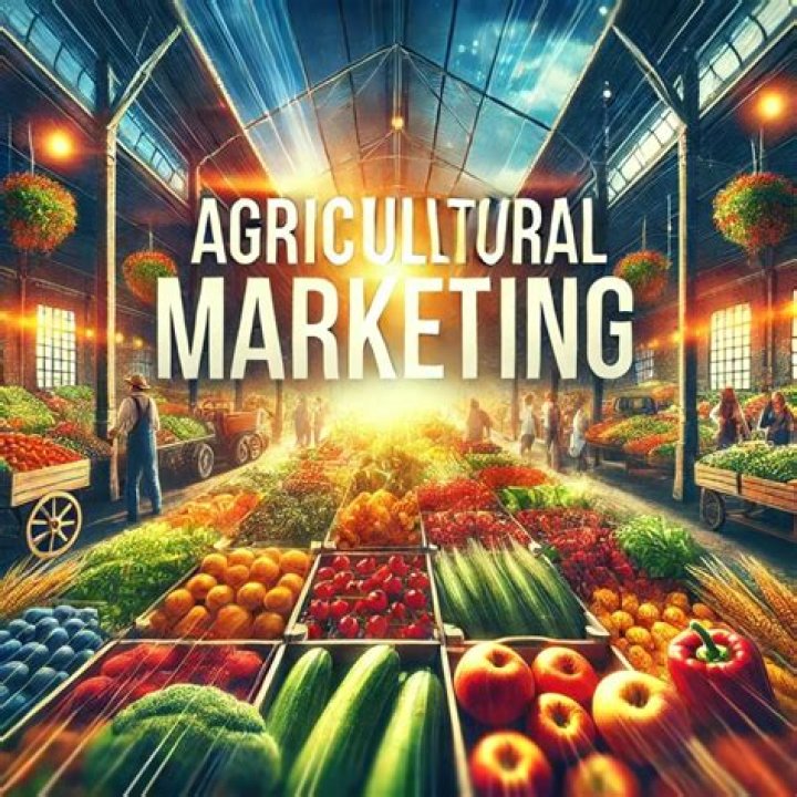 What is agricultural marketing and its importance?