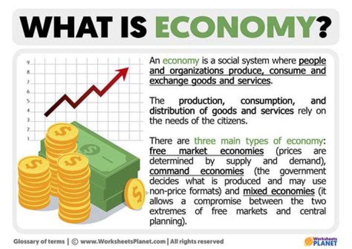 What is an economy example?