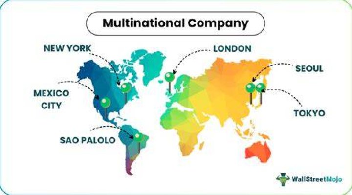 What is an example of a multinational company?