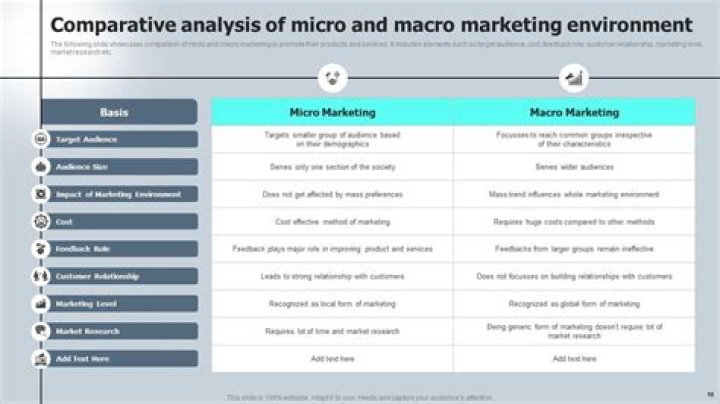 What is an example of macro marketing?