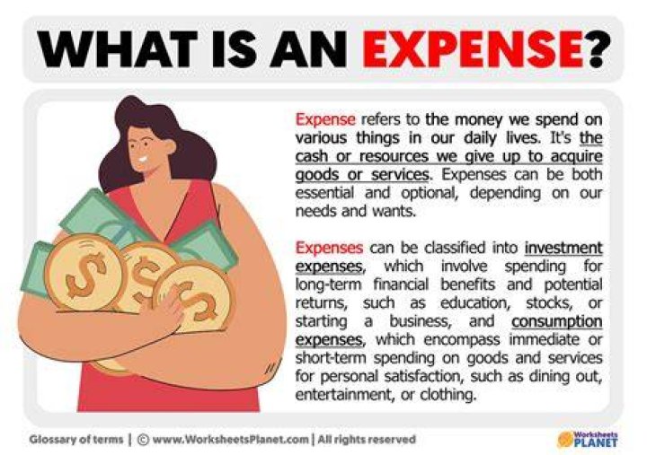 What is an expense budget and why is it important?