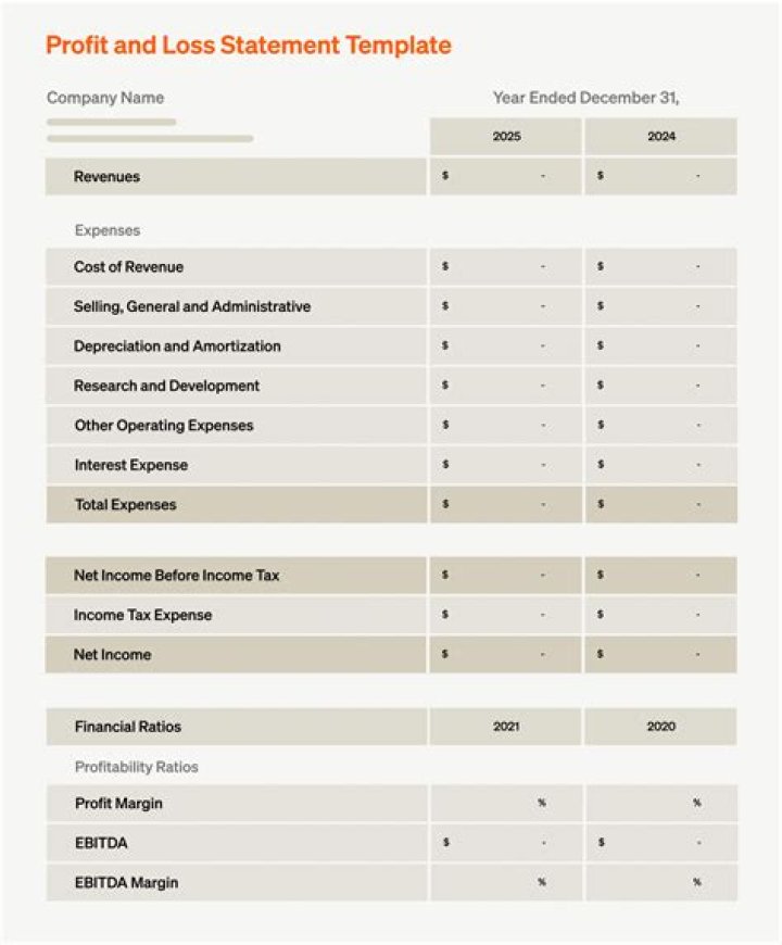 What is an income statement for a loan?