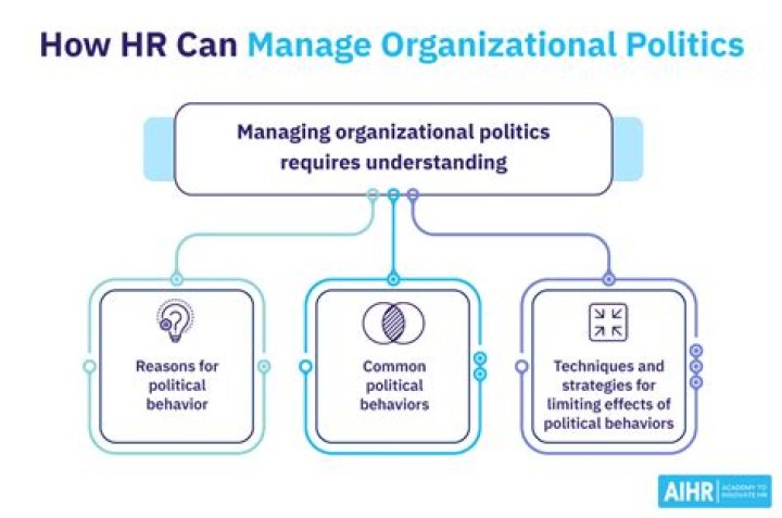 What is an organization owned and operated by a group of individuals called?