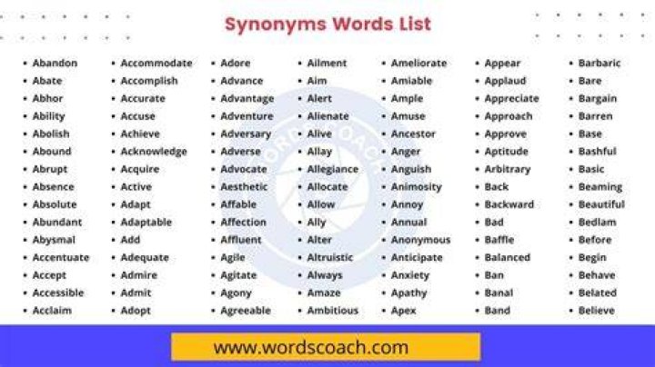 What is another word for service provider?