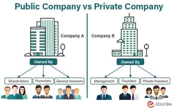 What is better public or private company?