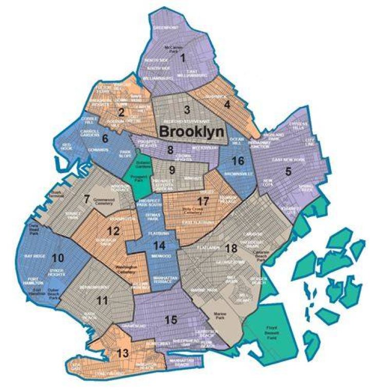What is Brooklyn school district name?