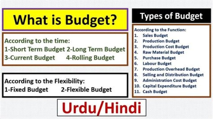 What is budget budget type?