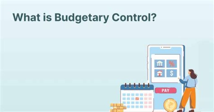 What is budgetary control in business?