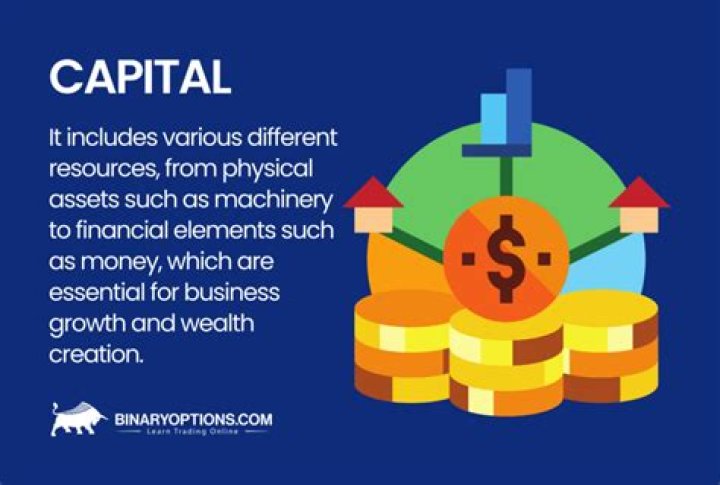 What is capital amount in business?