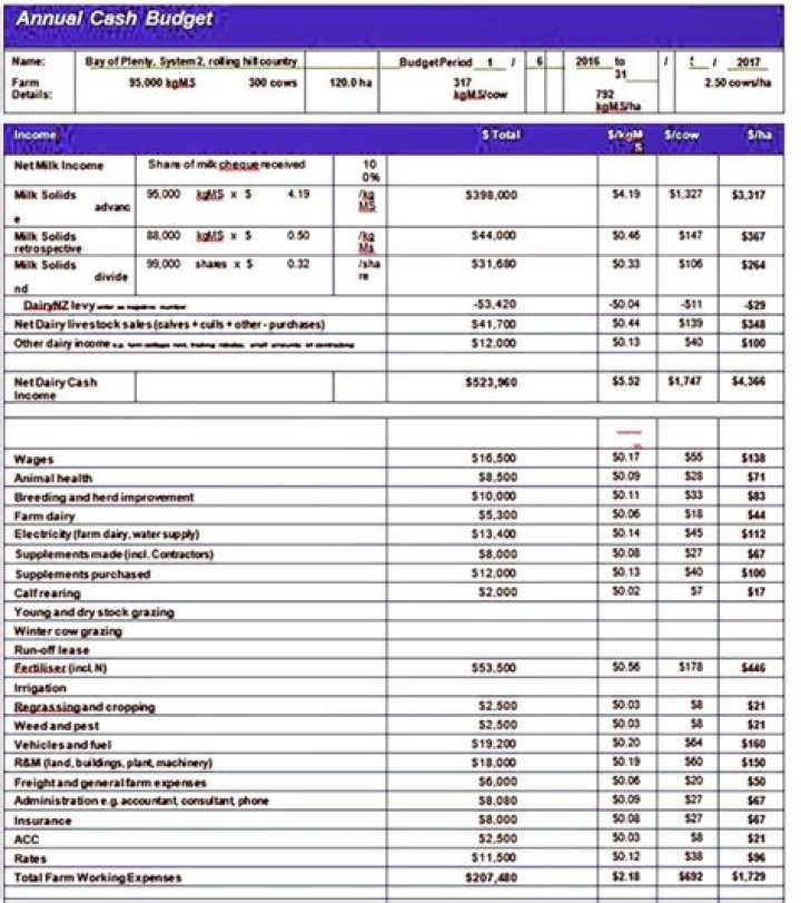 What is cash budget with example?