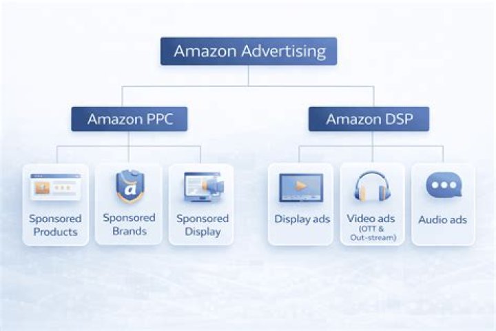 What is Colour Amazon?