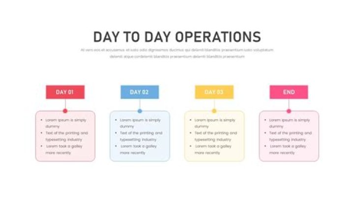 What is day to day management of a company?