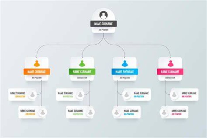 What is E organization?