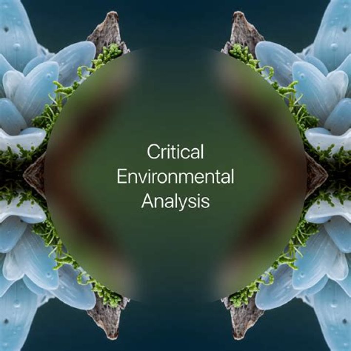 What is environmental critical area?