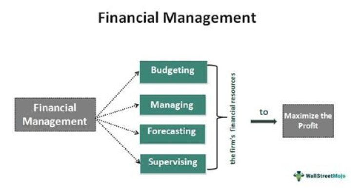 What is financial management and example?