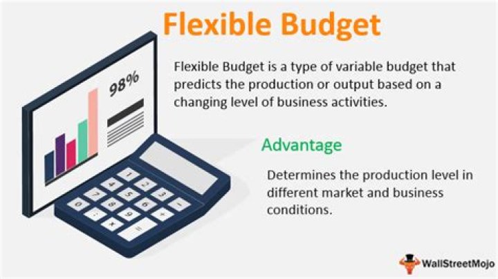 What is fixed budget and flexible budget?