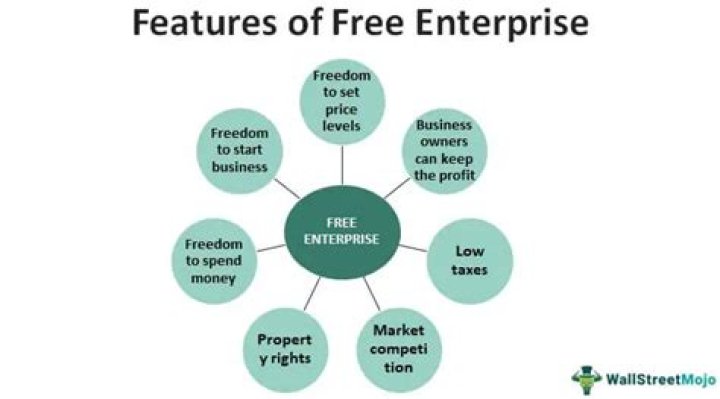 What is free enterprise history?