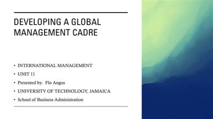 What is global management cadre?
