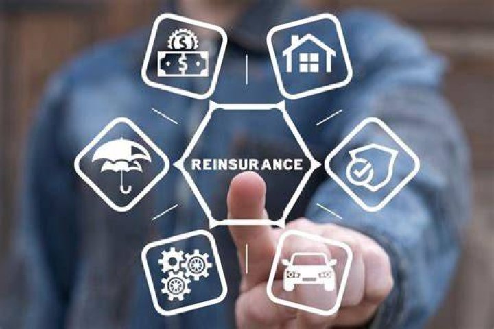 What is government reinsurance?