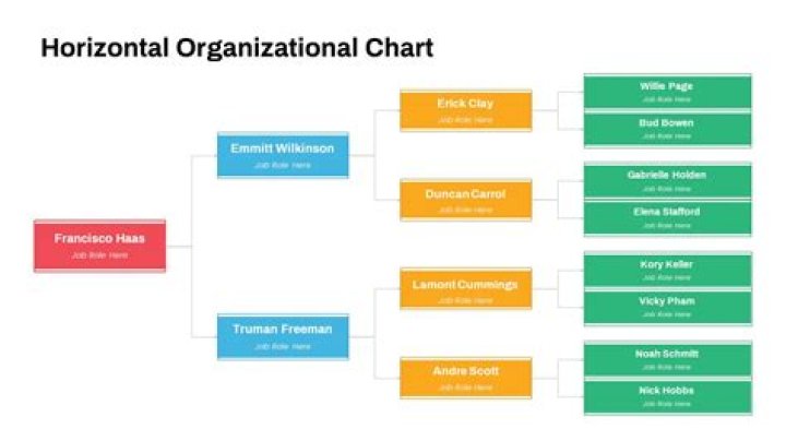 What is horizontal organization chart?