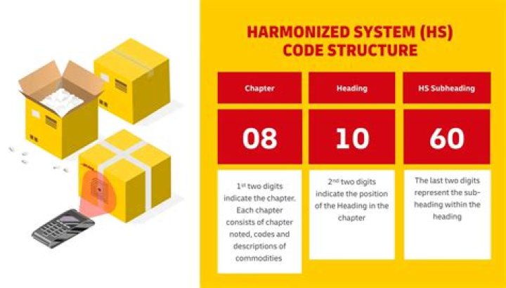 What is HS code for mango?
