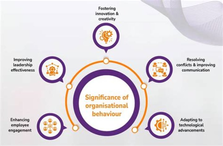 What is importance of Organisational Behaviour?