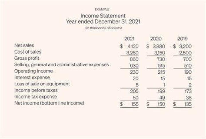 What is included in a company financial statements?