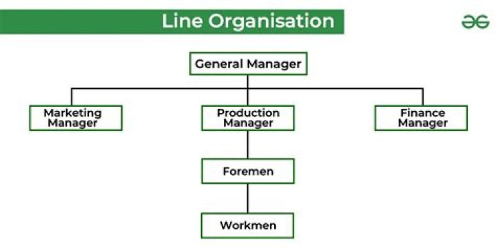 What is line Organisation in simple words?