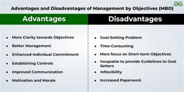 What is line organization discuss its advantages and disadvantages?