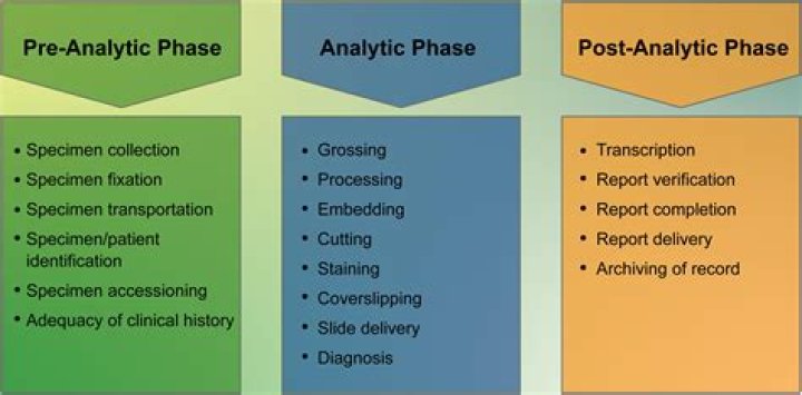 What is meant by analytical procedures?
