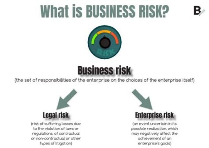 What is meant by business risk?