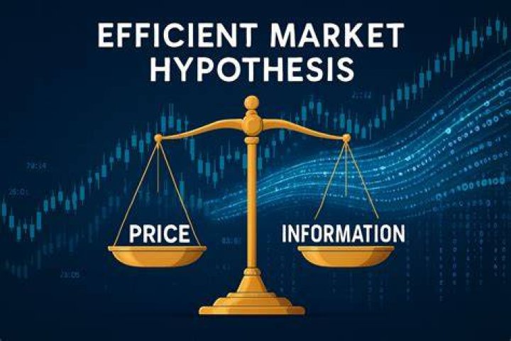 What is meant by efficient market hypothesis?
