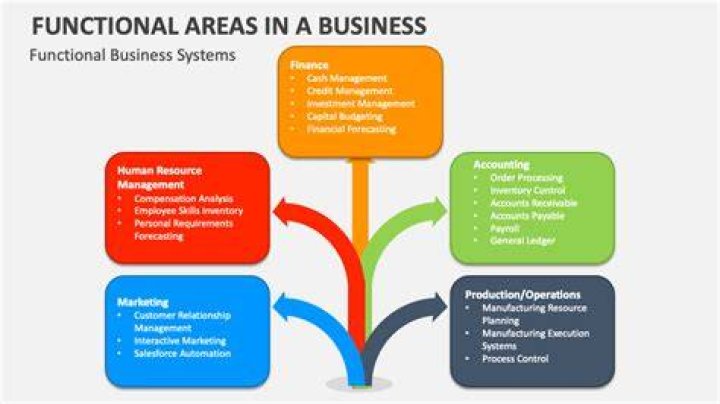 What is meant by functional and operational plans?