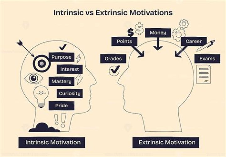 What is meant by intrinsic motivation?