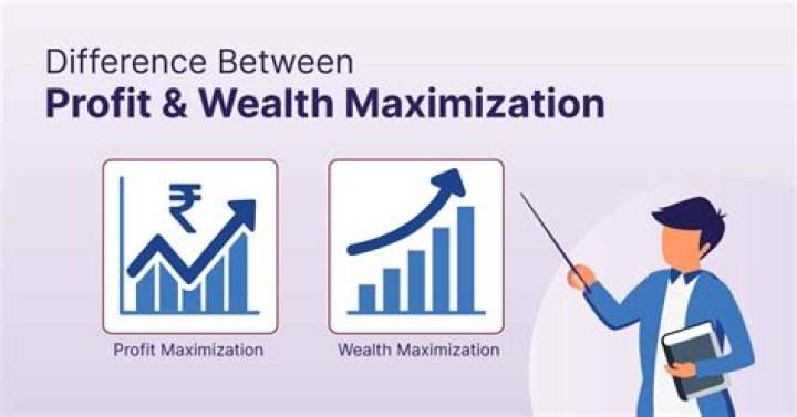 What is meant by maximization of shareholders wealth quizlet?