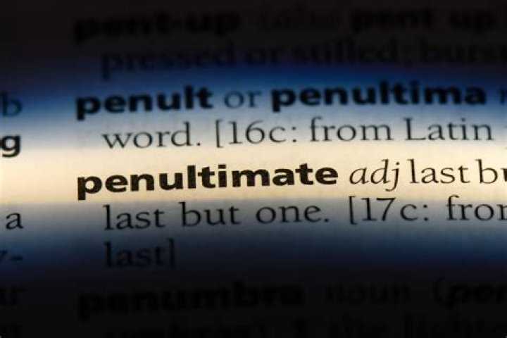 What is meant by penultimate certificate?