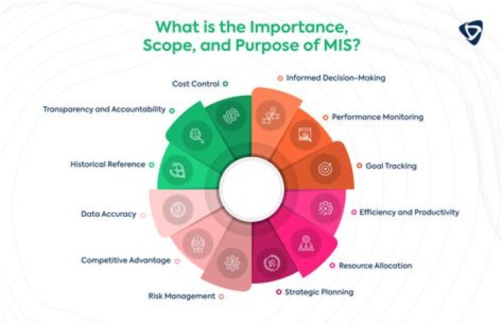 What is MIS in warehouse?