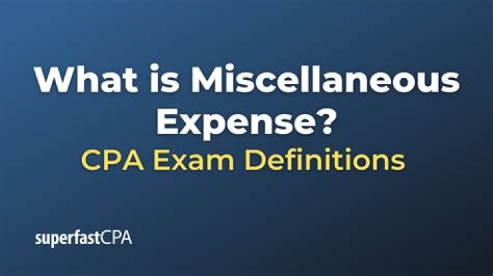 What is miscellaneous expenses asset?