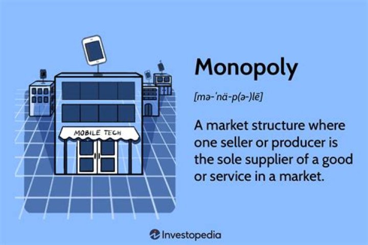 What is monopolies in simple words?