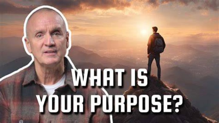 What is Morrisons purpose?