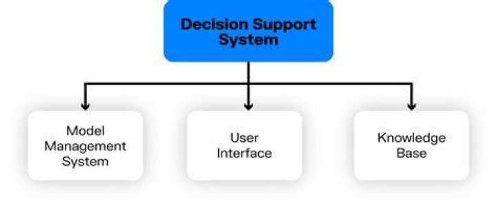 What is most important component of decision support system?