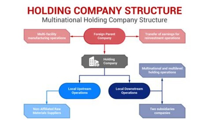 What is non operating holding company?