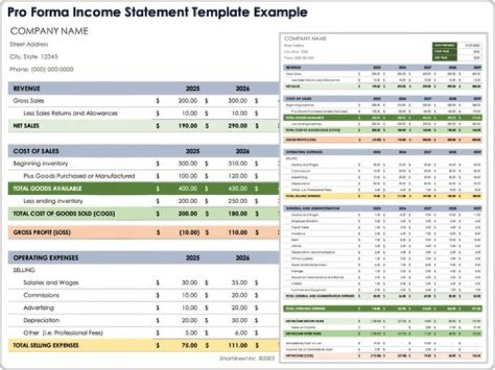 What is on a pro forma income statement?