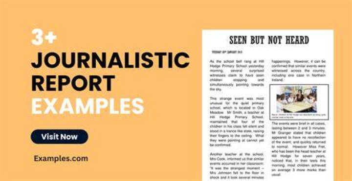 What is online journalism examples?