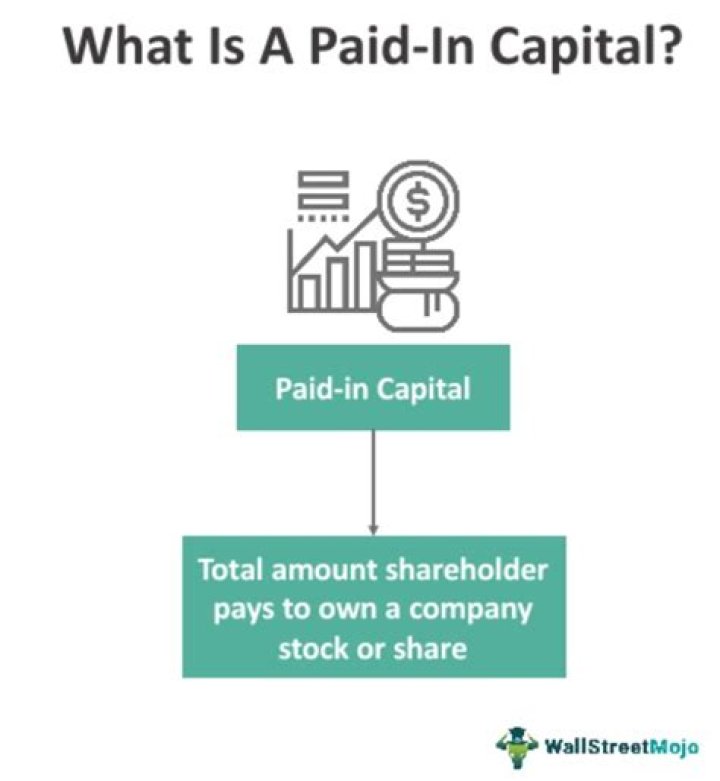 What is paid in capital examples?