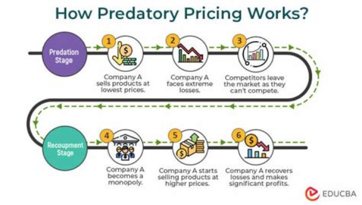 What is predatory pricing with example?
